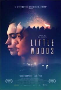 دانلود فیلم Little Woods 201822292-853053640