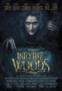 دانلود فیلم Into the Woods 20143675-1301241815