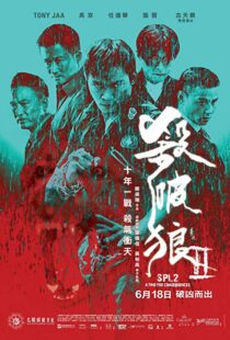دانلود فیلم Kill Zone 2 20151845-1263552708