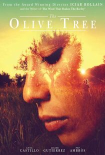 دانلود فیلم The Olive Tree 201615934-1661234607