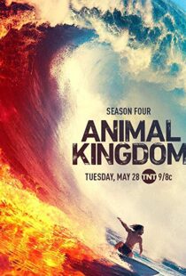 دانلود سریال Animal Kingdom18326-220192143