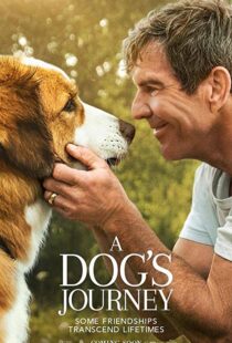 دانلود فیلم هندی A Dog’s Journey 201915660-7890551