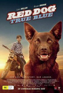 دانلود فیلم Red Dog: True Blue 20168899-1376483567