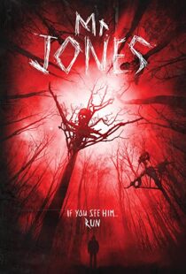 دانلود فیلم Mr. Jones 201337611-1482354169