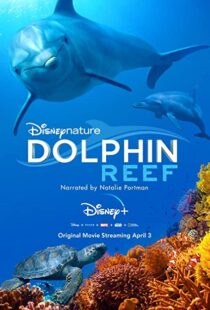 دانلود مستند Dolphin Reef 201838724-105072013