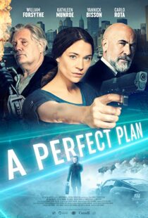 دانلود فیلم A Perfect Plan 202043957-866805812