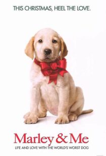 دانلود فیلم Marley & Me 200849029-1566099488