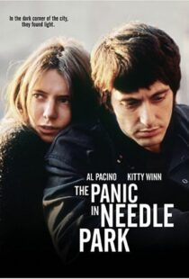 دانلود فیلم The Panic in Needle Park 197150558-1763227425