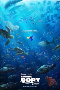 دانلود انیمیشن Finding Dory 201658678-698504383