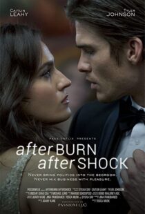 دانلود فیلم Afterburn/Aftershock 201777302-1304843653