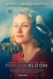 دانلود فیلم Penguin Bloom 202073302-455353141