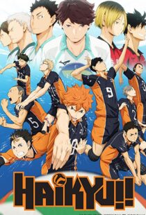 دانلود انیمه Haikyu!!80601-1762092380