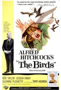 دانلود فیلم The Birds 196382372-1911199229