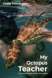 دانلود مستند My Octopus Teacher 202082343-605596974