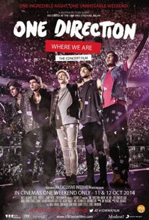 دانلود مستند One Direction: Where We Are – The Concert Film 2014100436-634807571
