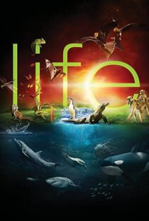 دانلود مستند Life96080-1562765404