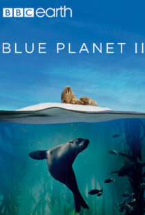 دانلود مستند Blue Planet II100194-1739758435