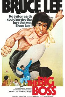 دانلود فیلم The Big Boss 197197560-1400869365