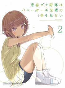 دانلود انیمه Rascal Does Not Dream of Bunny Girl Senpai95225-2085928880