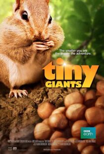 دانلود مستند Tiny Giants 3D 2014109664-1835224005