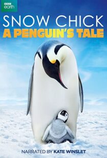 دانلود مستند Snow Chick: A Penguin’s Tale 2015109604-1400431567