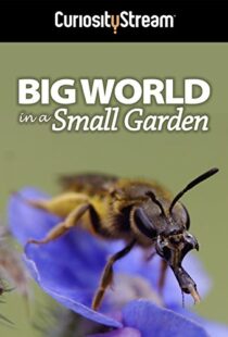 دانلود مستند Big World in a Small Garden 2016102965-257098240
