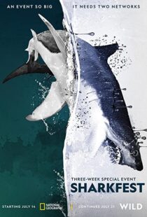 دانلود مستند Man vs. Shark 2019104475-133345743