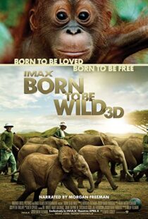 دانلود مستند Born to Be Wild 2011110503-1718352134