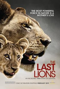 دانلود مستند The Last Lions 2011195626-27708679