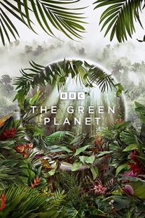 دانلود مستند The Green Planet232029-311709304