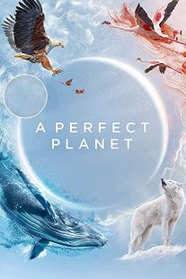 دانلود مستند A Perfect Planet231098-380949490