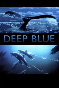 دانلود فیلم Deep Blue 2003333037-2085664740