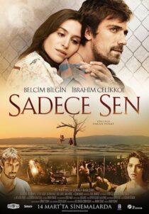 دانلود فیلم Only You 2014369345-578603137