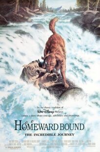 دانلود فیلم Homeward Bound: The Incredible Journey 1993371118-1715765885
