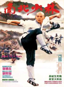 دانلود فیلم Martial Arts of Shaolin 1986376976-2113629017
