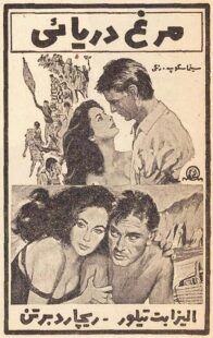 دانلود فیلم The Sandpiper 1965381611-136088126