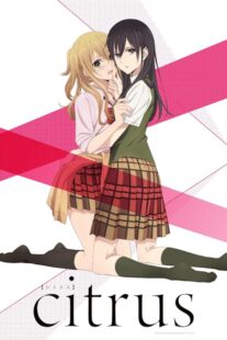 دانلود انیمه Citrus380558-1506110026
