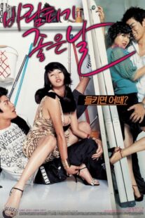 دانلود فیلم کره‌ای A Good Day to Have an Affair 2007384531-576961195