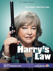 دانلود سریال Harry’s Law393952-190936957