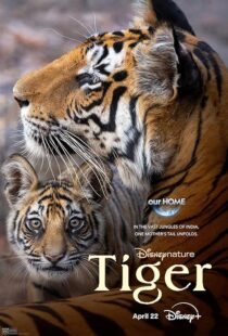 دانلود مستند Tiger 2024396409-620337442