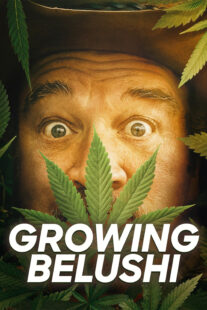دانلود سریال Growing Belushi400424-964854736