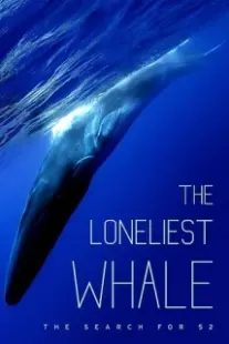 دانلود فیلم The Loneliest Whale: The Search for 52 2021403098-677345973