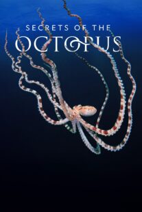 دانلود سریال Secrets of the Octopus401286-1282416109