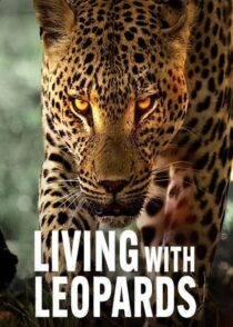 دانلود مستند Living with Leopards 2024400477-2095913488