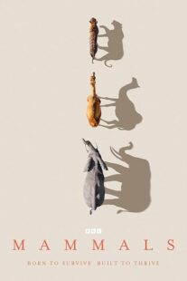 دانلود سریال Mammals404460-191462160
