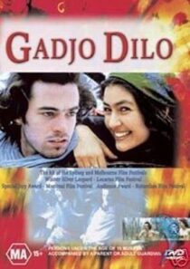 دانلود فیلم The Crazy Stranger 1997407241-1564904942