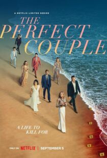دانلود سریال The Perfect Couple409138-1471627004