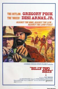 دانلود فیلم Billy Two Hats 1974411057-1070648954