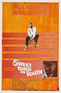 دانلود فیلم Sweet Bird of Youth 1962415738-29687175