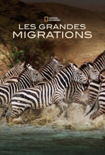 دانلود مستند Great Migrations417146-440660900